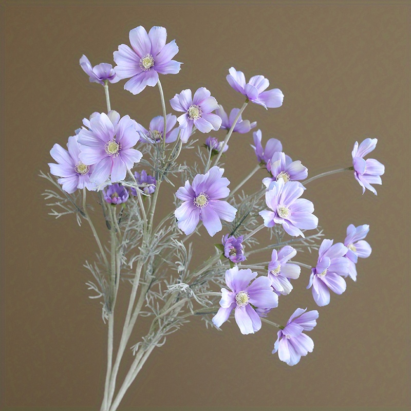 Pressed Flowers, Light Purple Flowers, 8 Pcs/Pack, Purple Chrysanthemum, Pressed  Dried Flowers, Marguerite Flower （3-5cm - Yahoo Shopping