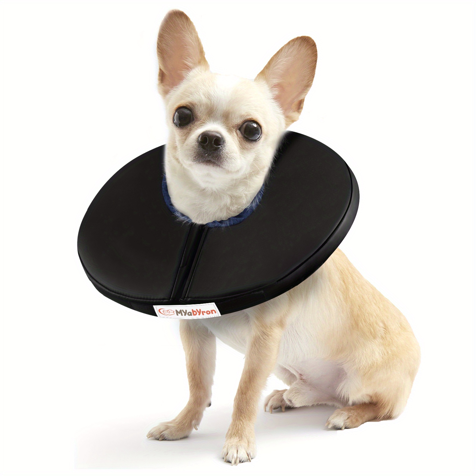 Cone for outlet chihuahua