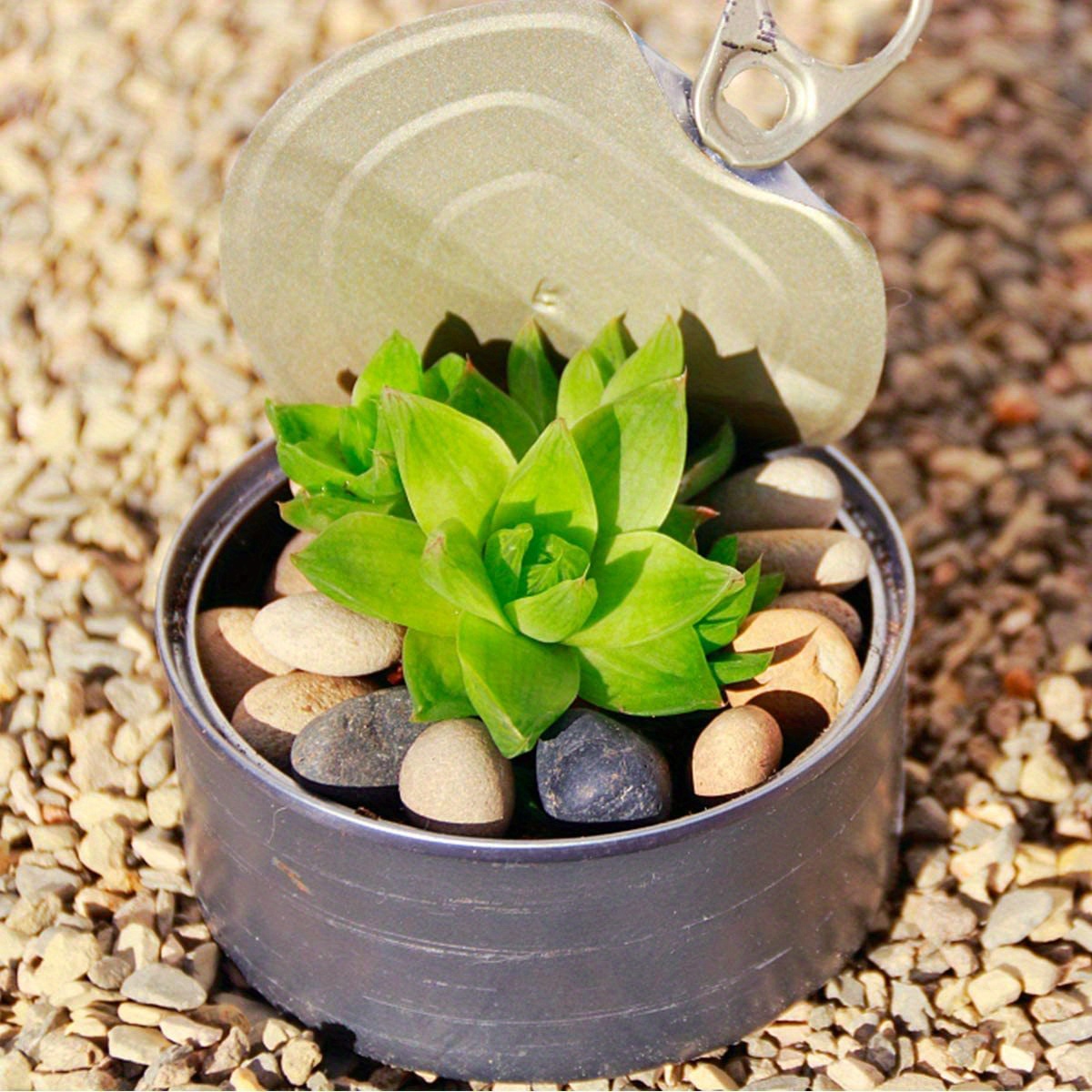 Natural Small Colored Stones, Aquarium Decorative Stones, Aquarium