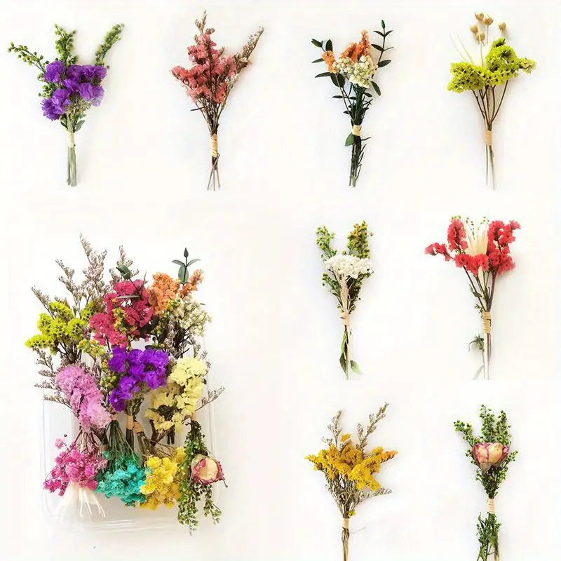 Random Color Dried Flower Bouquet Real Natural Dry Pressed - Temu