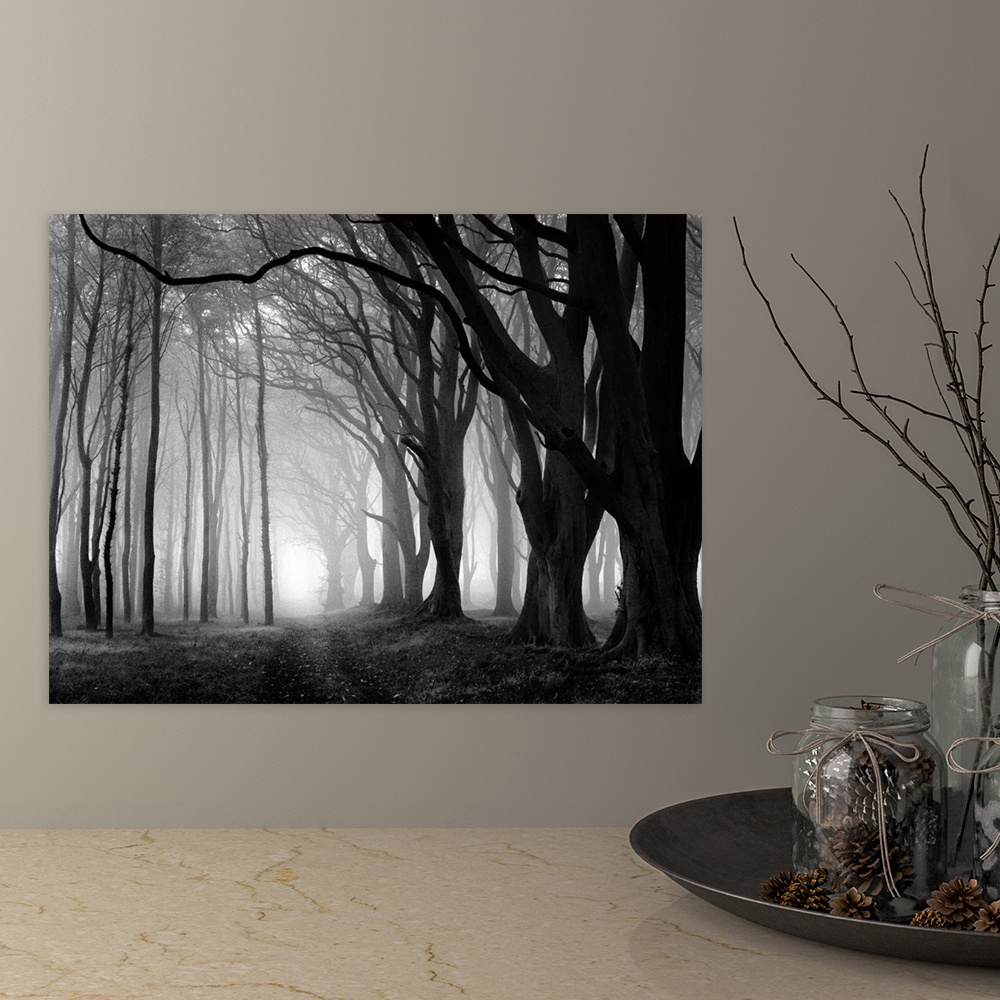 Canvas Print Scary Black Forest Wall Art Black White Art - Temu