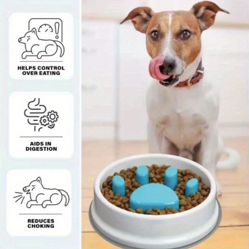 Pet Supplies : Thumberly Slow Feeder Dog Bowl, Anti-chocking