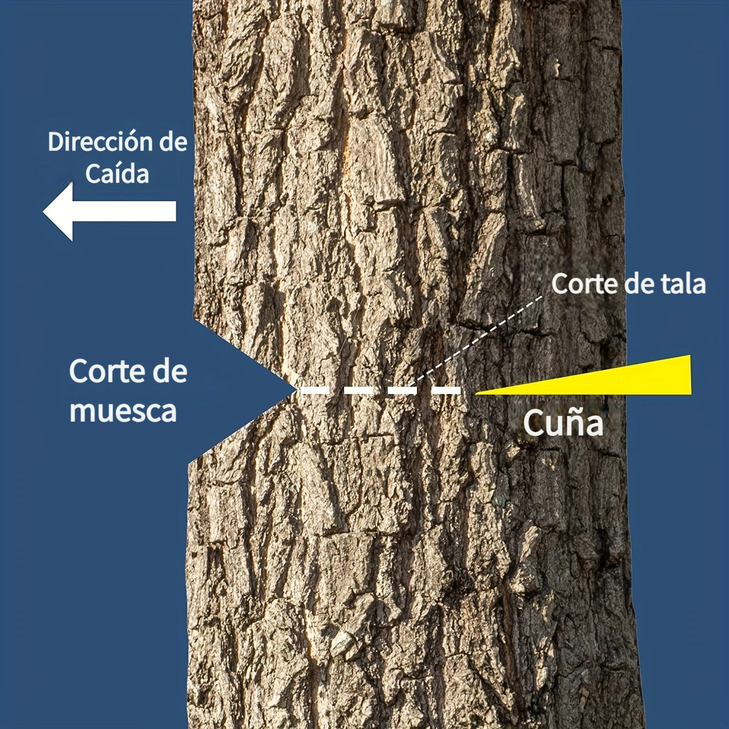 Juego de cuñas de tala de 6 pulgadas para motosierra, cuña de corte de  árbol de división de plástico ABS, herramientas de suministros de tala (6