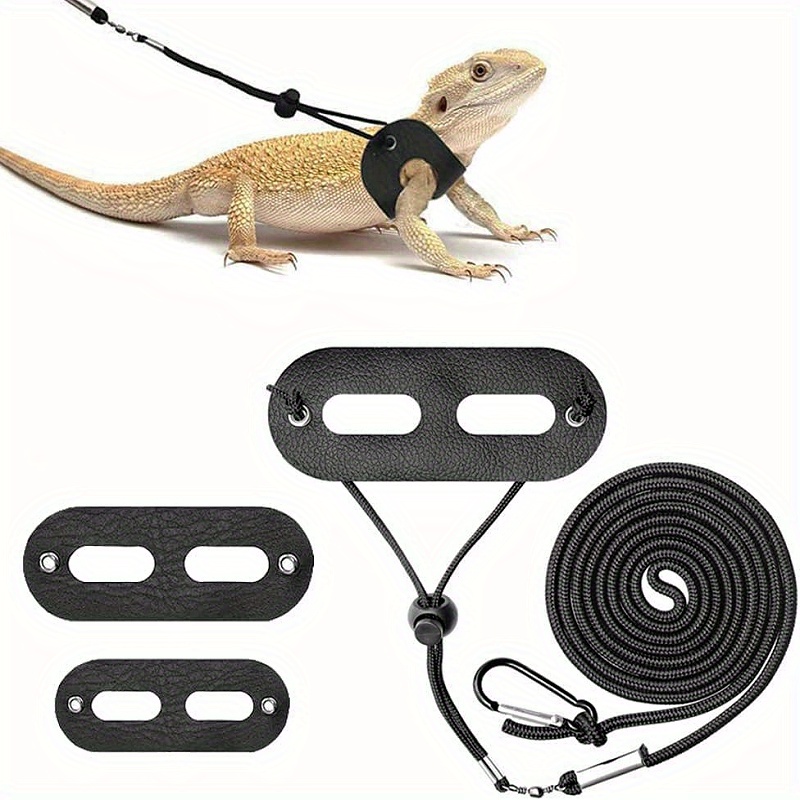 Reptile harness 2024