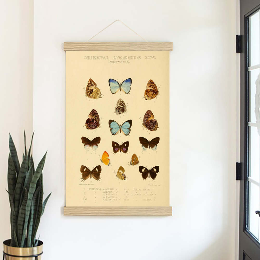 Vintage Butterfly Wall Art Poster Wood Hanging Scroll - Temu