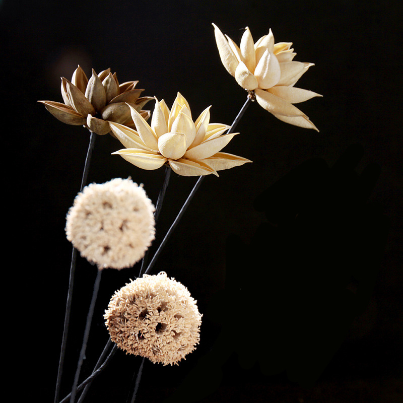  6 Pcs Dried Flowers for Crafts, Mini Dried Flowers with Stems  for Crafts Bulk, Dried Flowers for Vase : Home & Kitchen