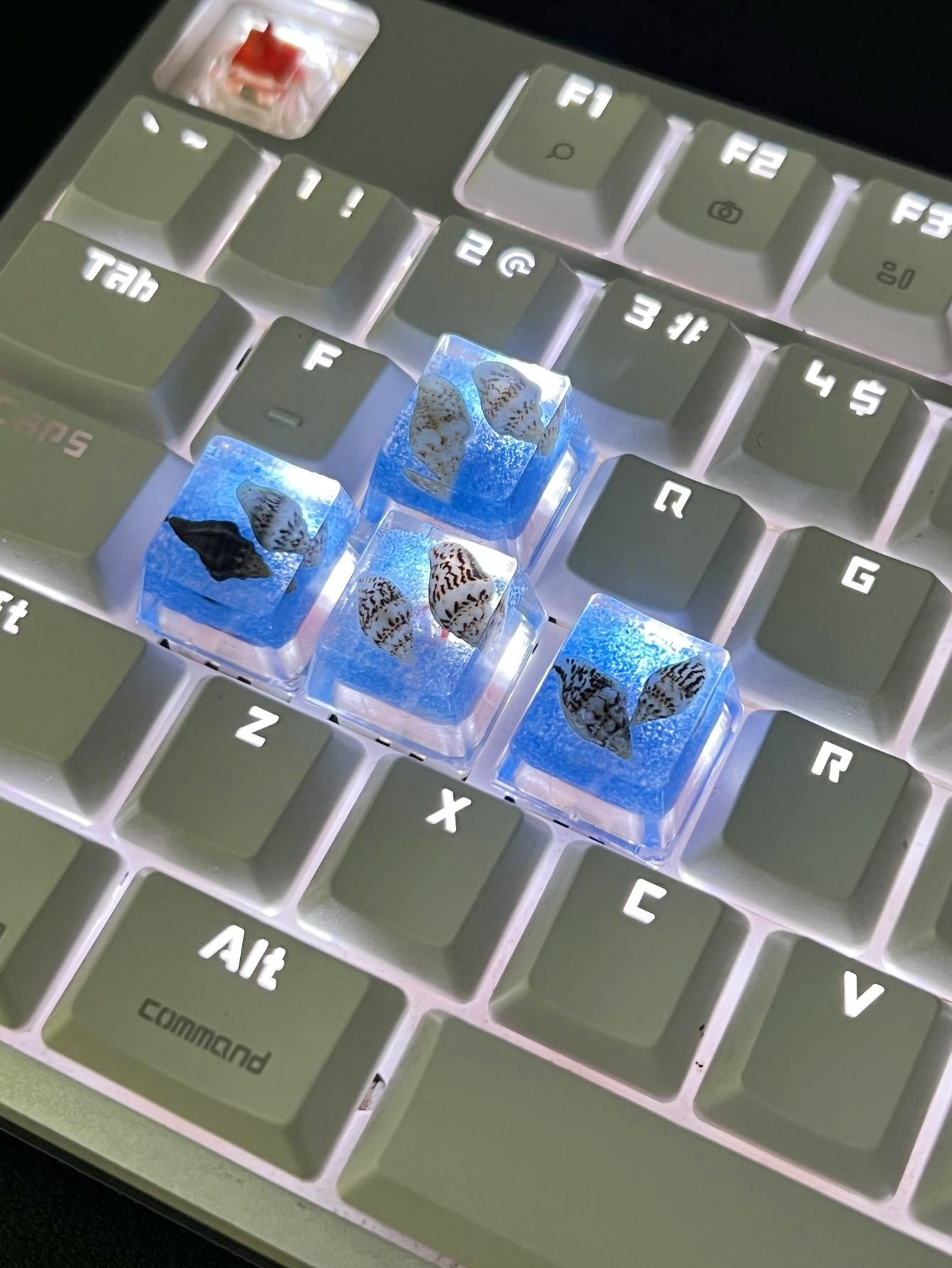 Conch Translucent Abs Resin Keycaps Suitable Cross Axis Temu Canada