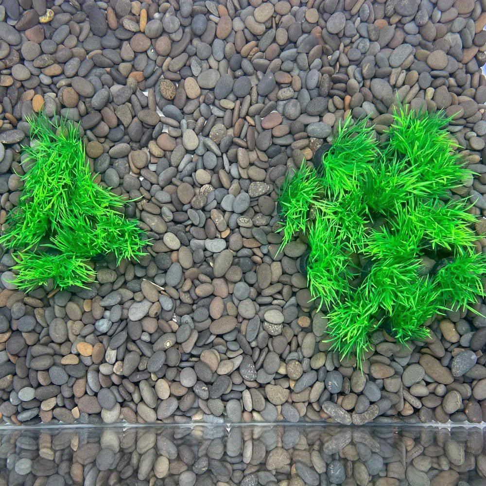 Aquarium Plants Fish Tank Decorations Plastic Artificial Temu