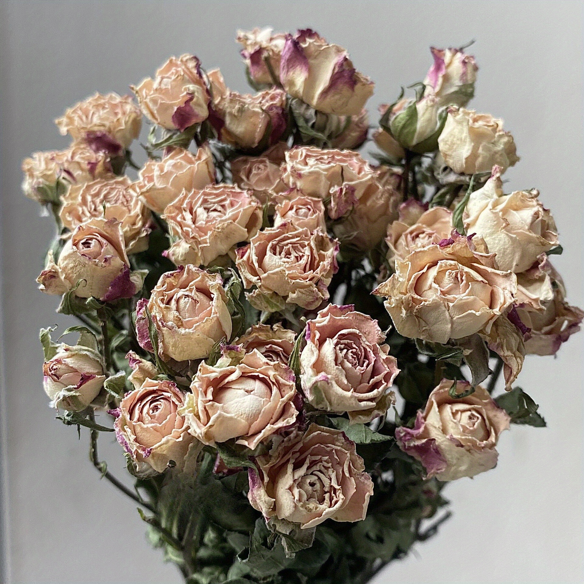 1 Caja Ramo Flores Preservadas En Bola Acrílica Rosas Flores - Temu
