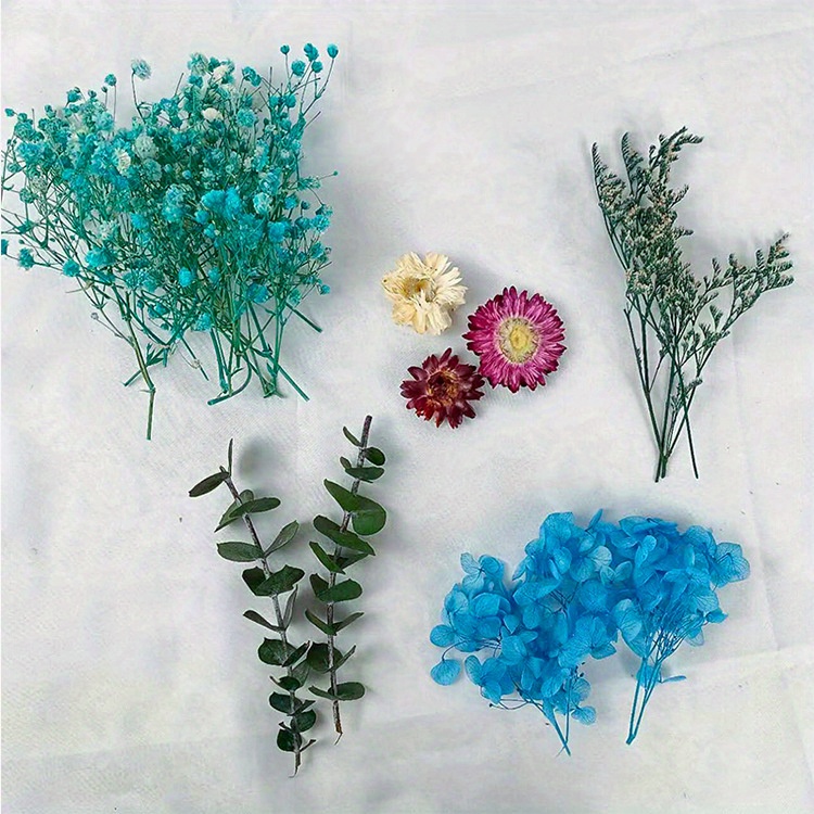 flores secas naturales archivos - Aloe Lola