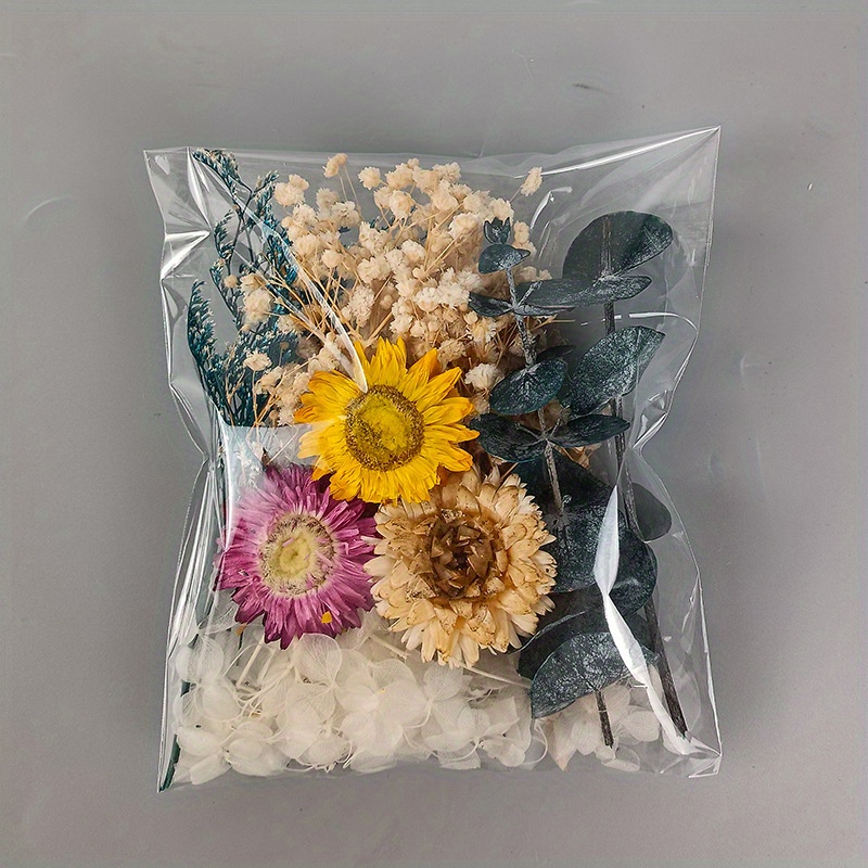 Flores secas naturales coloridas, pequeñas plantas florales secas  naturales, Mini Ramos reales, decoración del hogar, accesorios de  fotografía