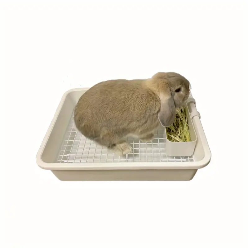 Rabbit : Guinea - Temu Ireland
