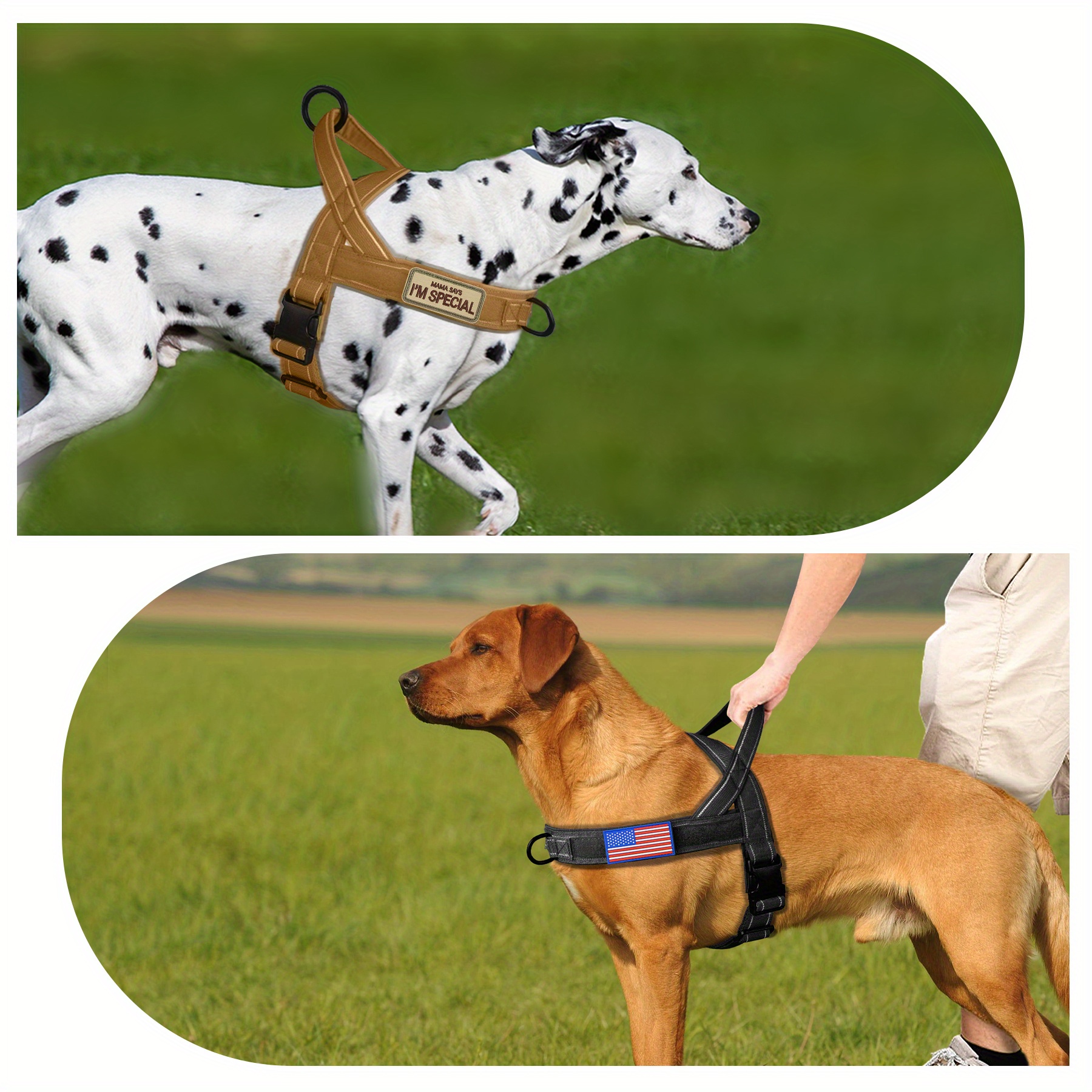 Parche personalizado de 2 piezas para chaleco para perro, parches tácticos  extraíbles personalizados para arnés de perro en entrenamiento y parches