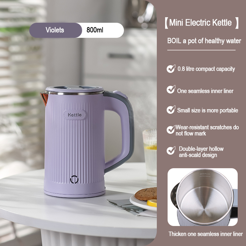 Small Electric Tea Kettle, 0.8l Portable Travel Hot Water Boiler Stainless
