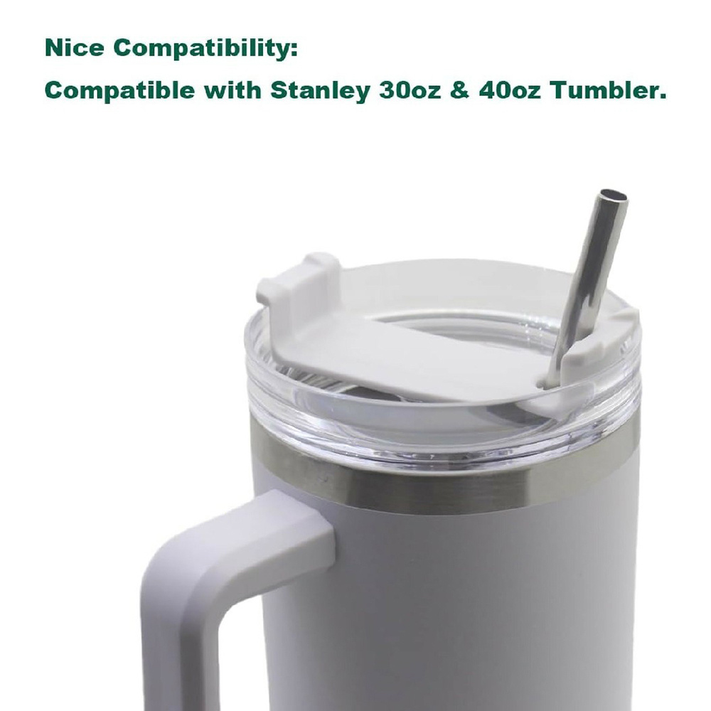 Complete Tumbler Set with Handle, Lid, Metal Straw and Cleaning