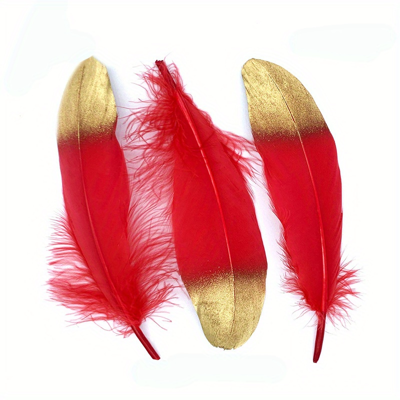 20 piezas varias plumas rojas plumas de faisán de ganso para
