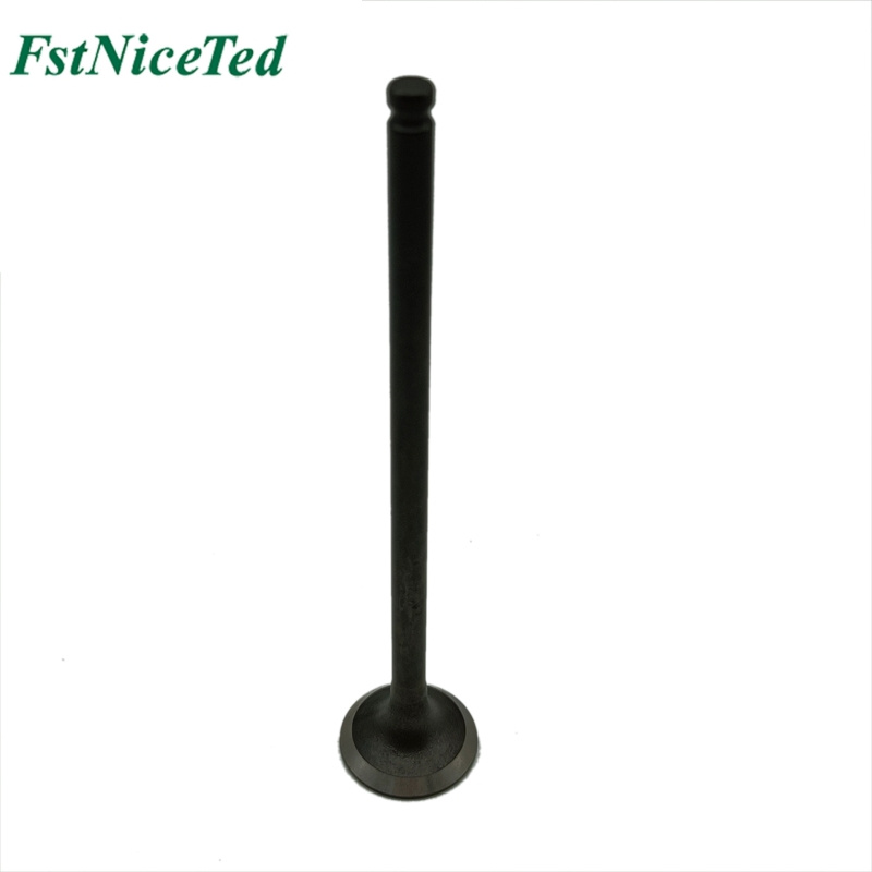 Araba Motoru Emme Vanası Honda Accord 67.63oz 2008-2013 OE 14711-R60-000'e Uygun_voghion.com