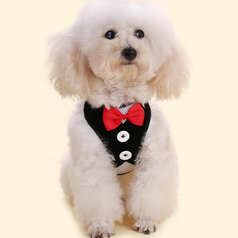 Stylish Bowtie Suit Furry Friend: Tuxedo Harness Vest Leash - Temu