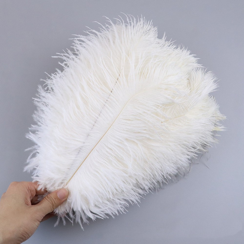 10PCS Colorful Big Ostrich Feathers White Ostrich Feather Plumes for  Carnaval Table Centerpieces Party Wedding Accessories Decor - AliExpress