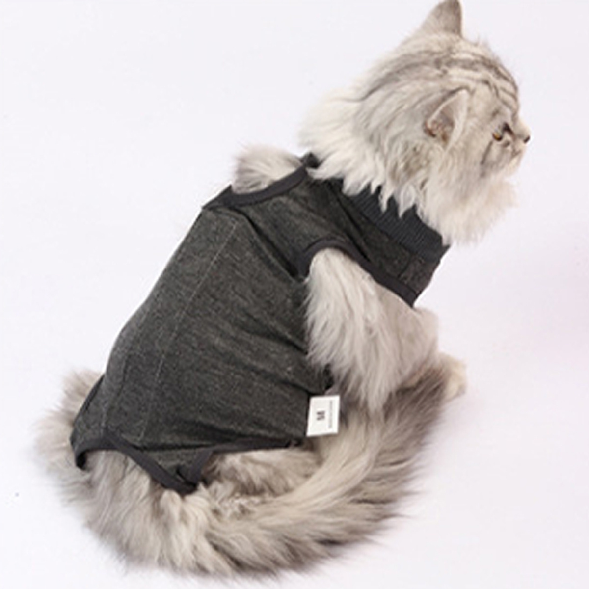 1pc Cat Recovery Suit Abdominal Wounds Cat Surgery Recovery Suit