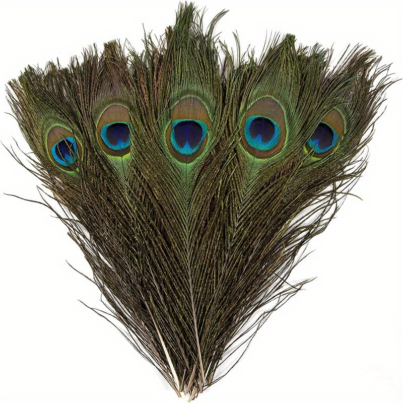 10pcs/pack 35-45cm Long Natural Peacock Feathers For Vase