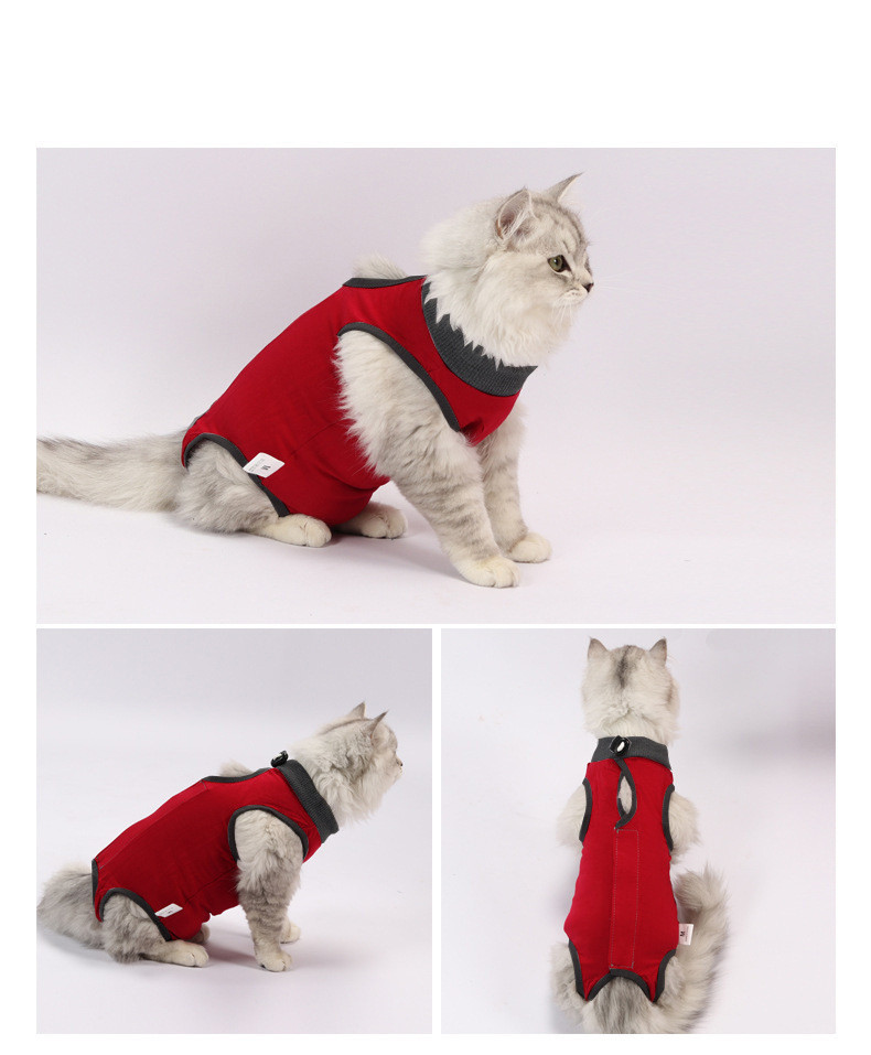 1pc Cat Recovery Suit For Abdominal Wounds Cat Surgery Recovery Suit