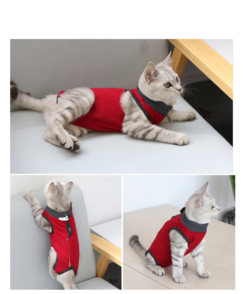 1pc Cat Recovery Suit For Abdominal Wounds Cat Surgery Recovery Suit