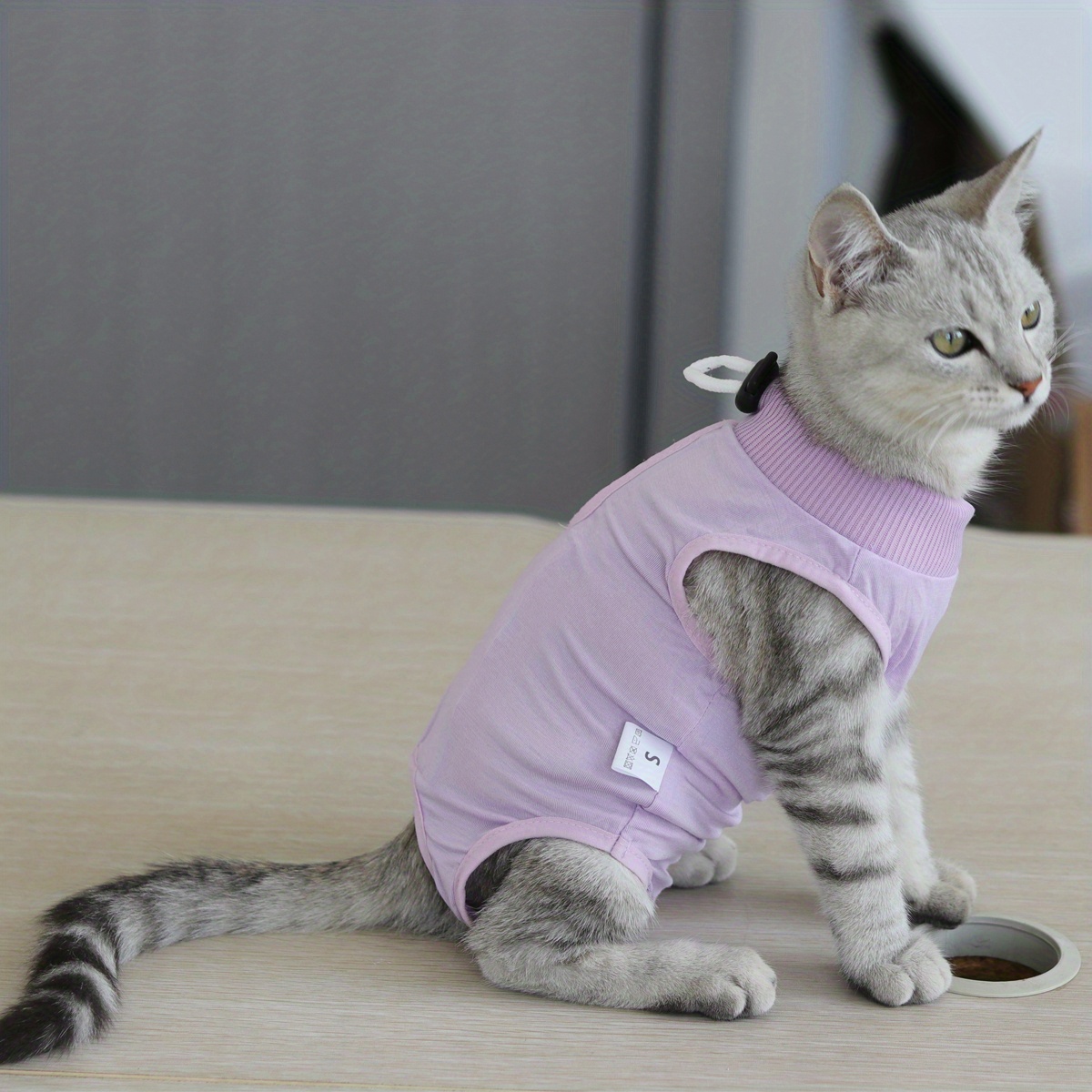 1pc Cat Recovery Suit For Abdominal Wounds Cat Surgery Recovery Suit For  Cats After Surgery Cat Spay Recovery Suit Cat Onesie For Cats After Surgery  Cat Surgical Recovery Suit