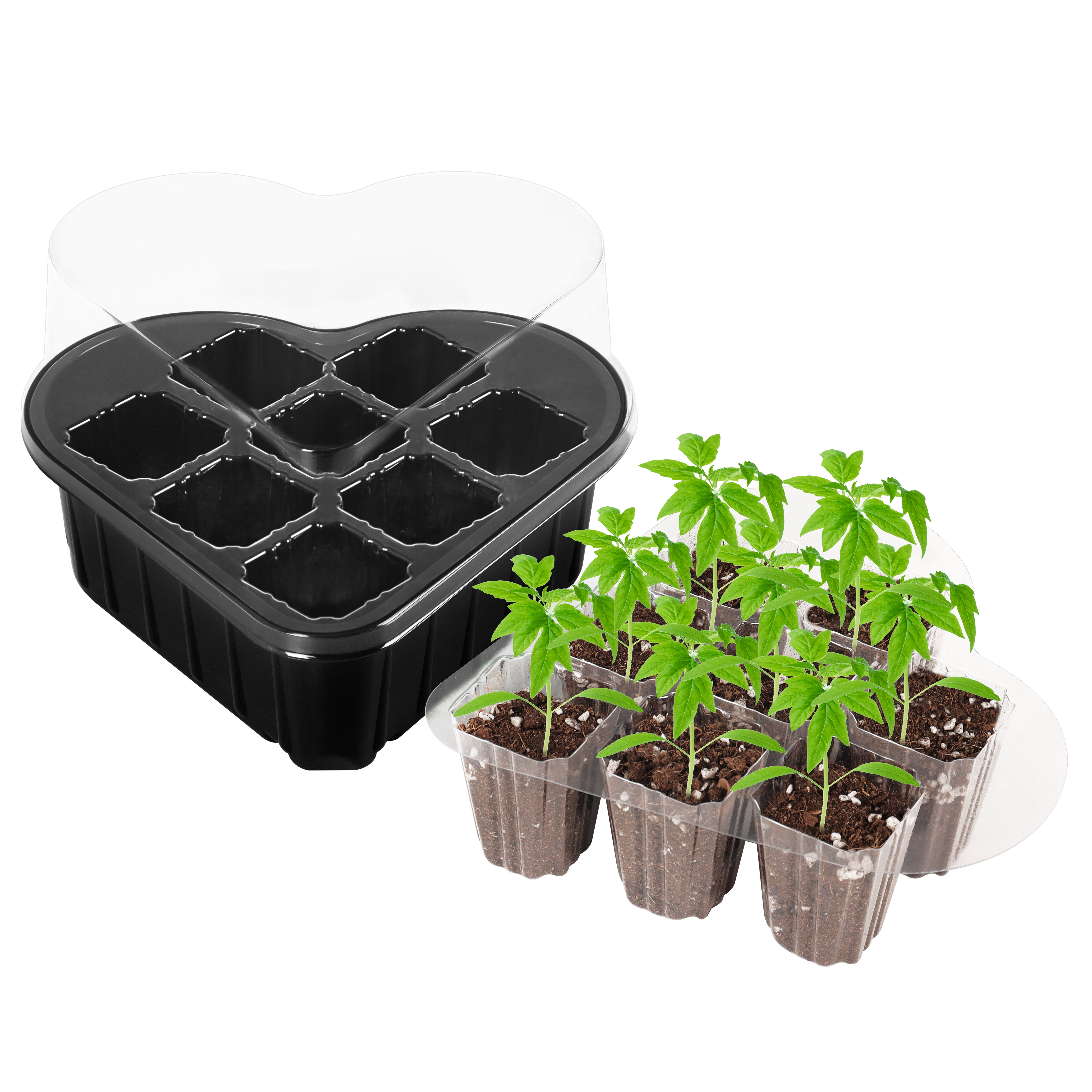 Silicone Seed Starting Tray,Reusable Seed Starting Trays for Seed Germination and Plant Propagation,Vegetable Seeds,Herb Seeds,Flower Plant Starter