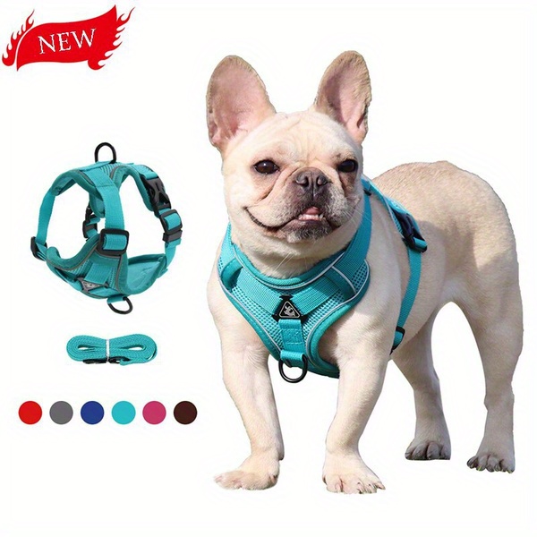 Reflective Mesh Dog Harness Leash Set Escape Proof - Temu