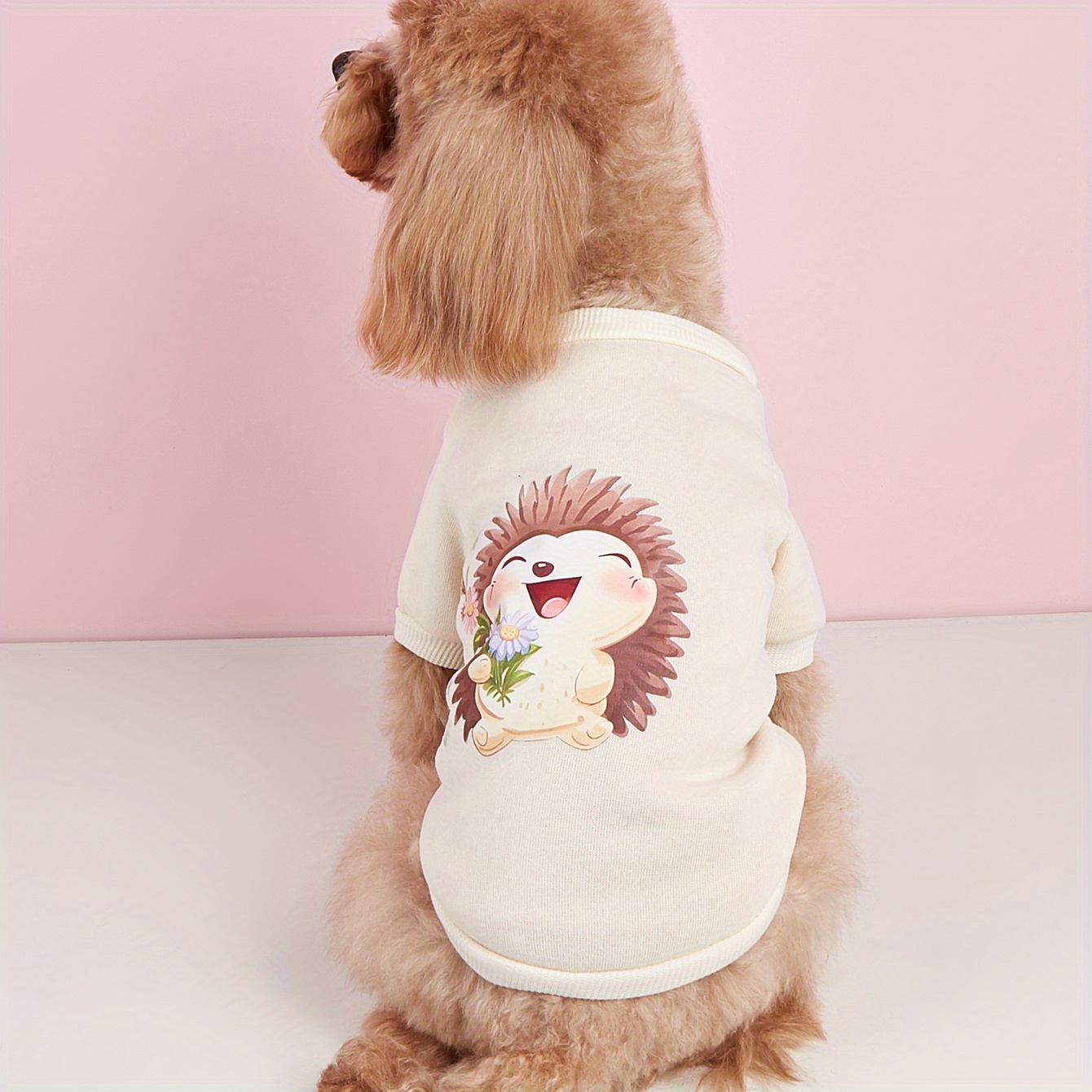 Hedgehog dog sale sweater