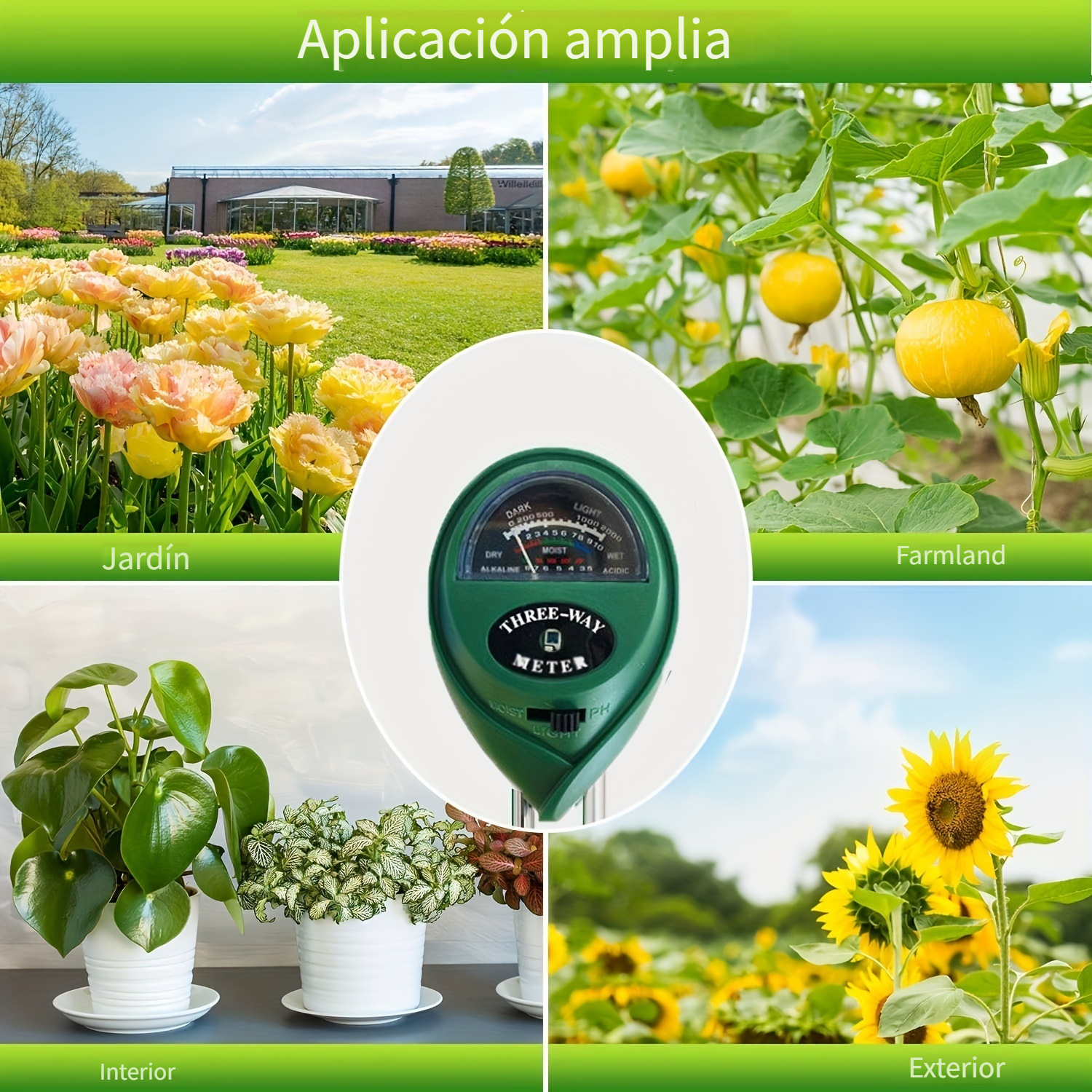 Medidor de humedad en tierra. Mida la humedad del suelo en plantas de  tomate con un dispositivo digital. Mujer campesina en un jardín Fotografía  de stock - Alamy