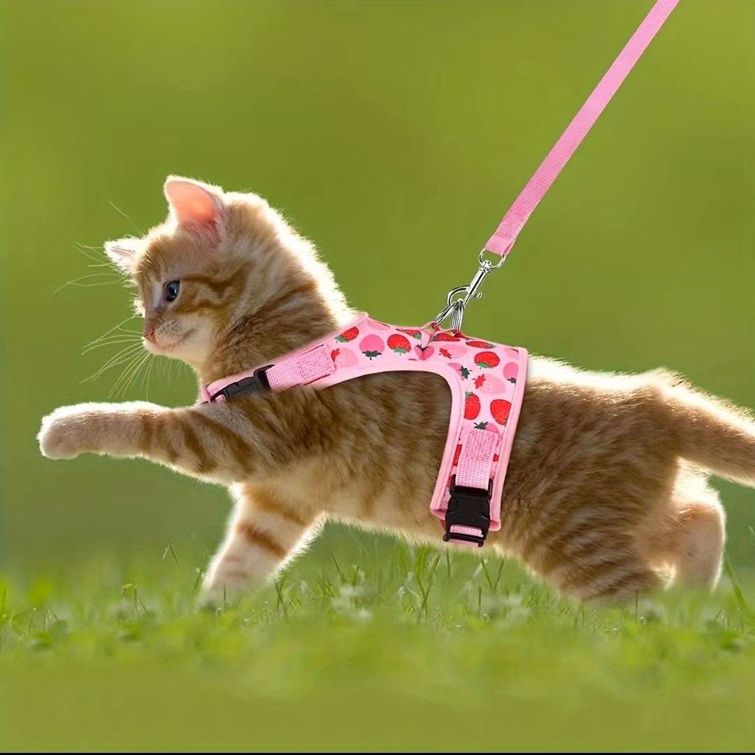 Comfortable Cat Harness Escape Proof Cat Harness Leash Set Temu Australia