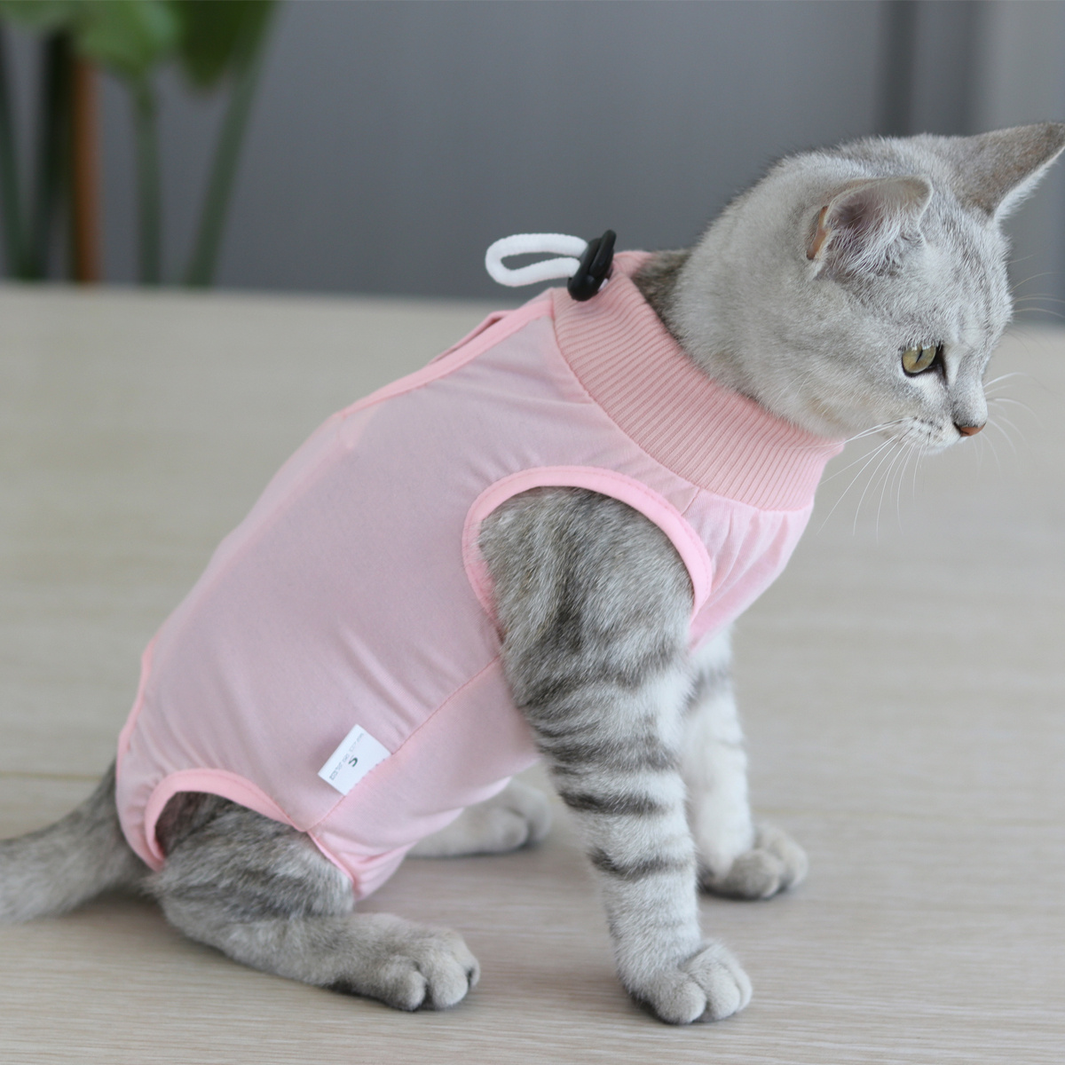 1pc Cat Recovery Suit For Abdominal Wounds Cat Surgery Recovery Suit