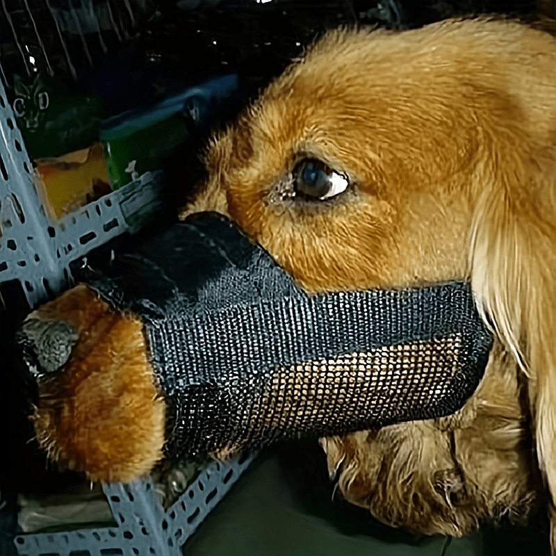 Breathable Nylon Mesh Dog Muzzle Adjustable Strap - Temu
