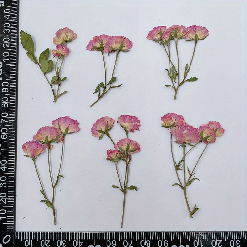 Small Rose Dry Embossing Resin Kit: Create Diy Art Crafts - Temu