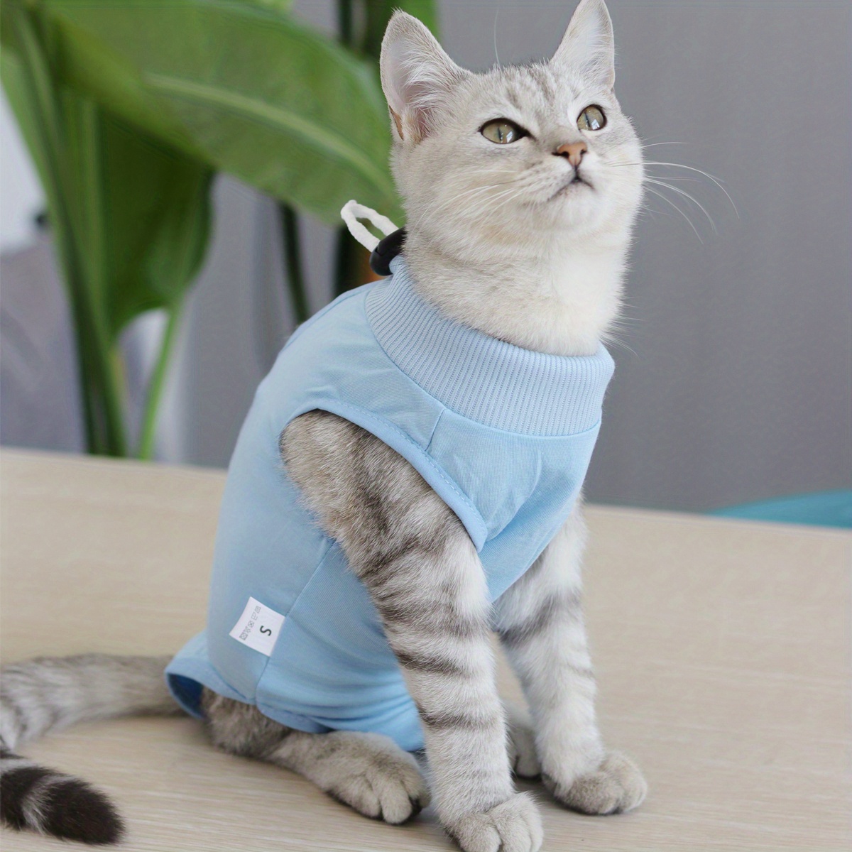 1pc Cat Recovery Suit For Abdominal Wounds Cat Surgery Recovery Suit ...