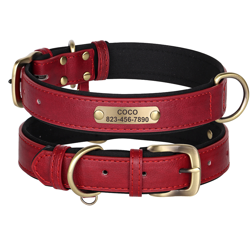 Dog collars with outlet names