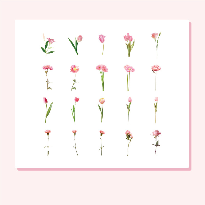 Stickers Plants And Flowers Aesthetic Stickers Pet - Temu