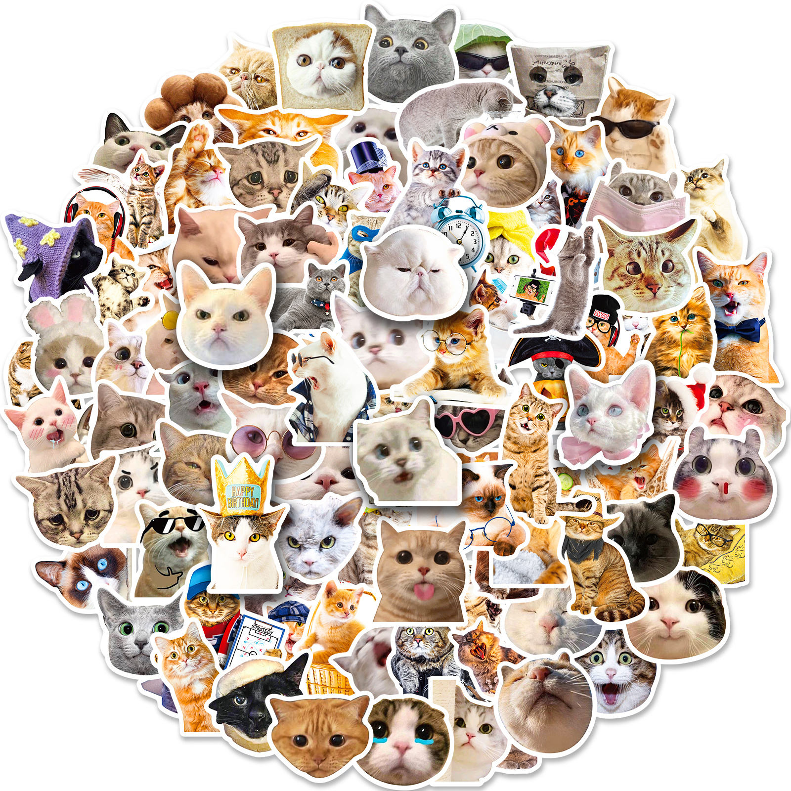 Realistic Cute Cat Mixed Stickers Cat Expression Stickers - Temu