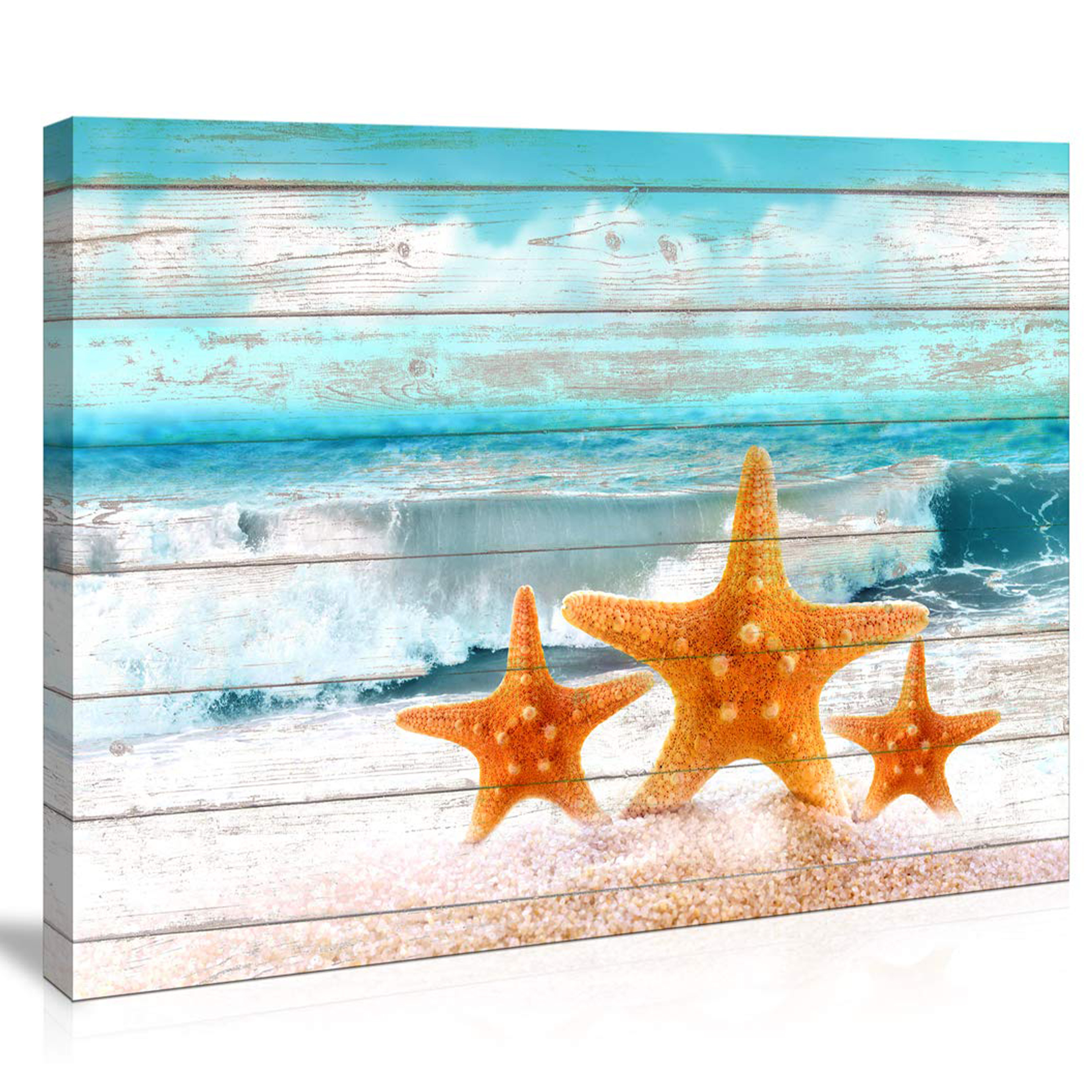 Coastal Wall Art Seashell Bathroom Decor Teal Blue Beach Theme Starfish  Canvas P