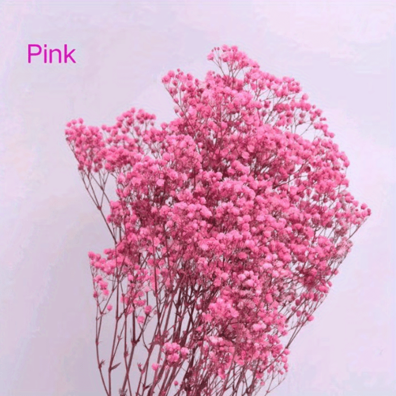 120 Stems of Pink Baby's Breath Gypsophila