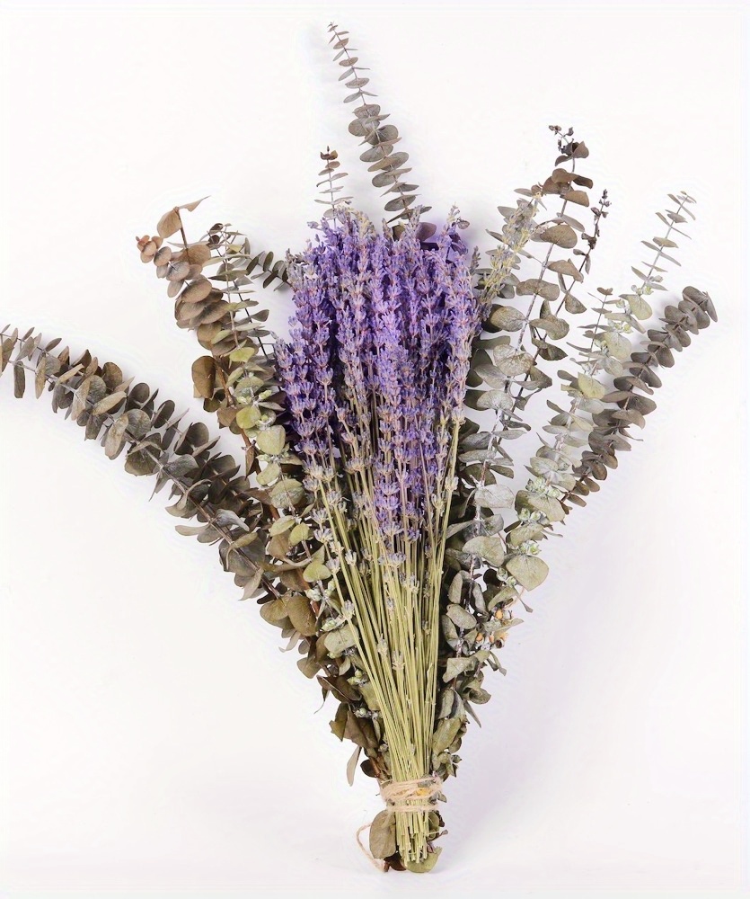 Dried Eucalyptus Stems And Lavender Bundle For Shower - Temu