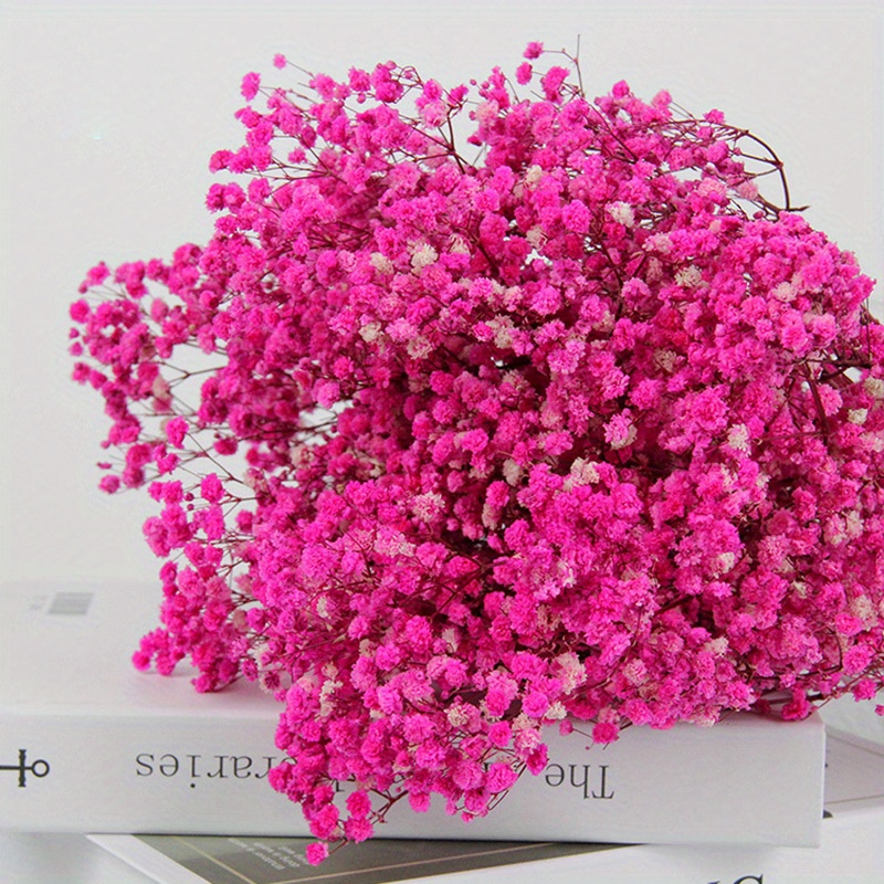 Baby's Breath Bright Pink Preserved Baby's Breath Flowers