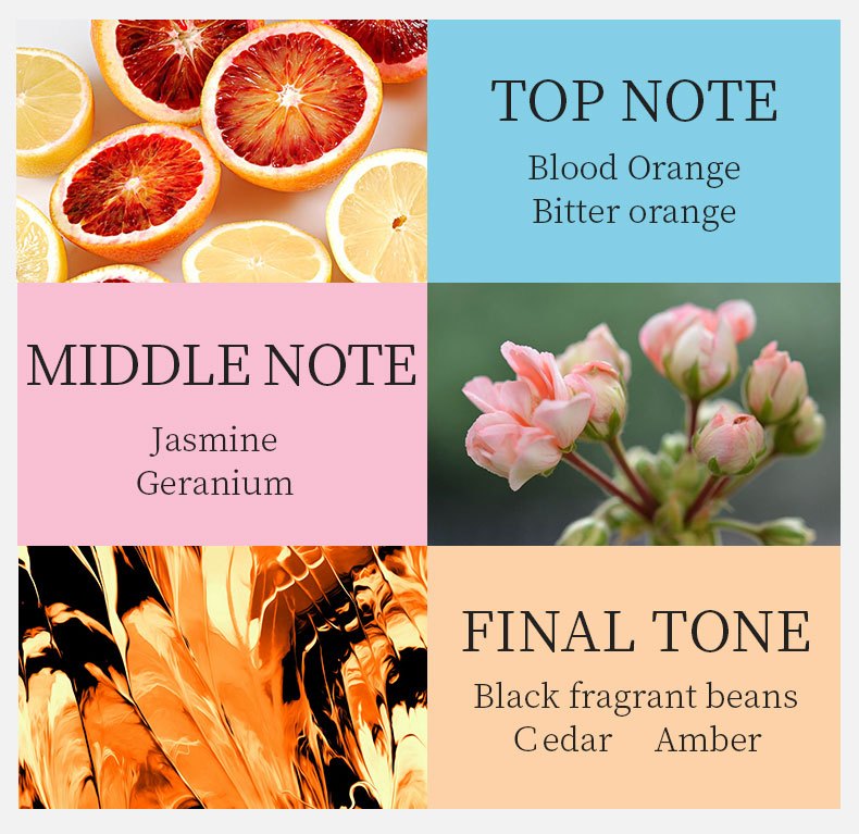 Citrus Notes Gift Set — Mélange Perfume