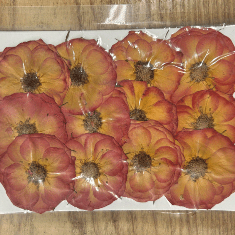 Pack Flores Secas Amarillo — Floresfrescasonline