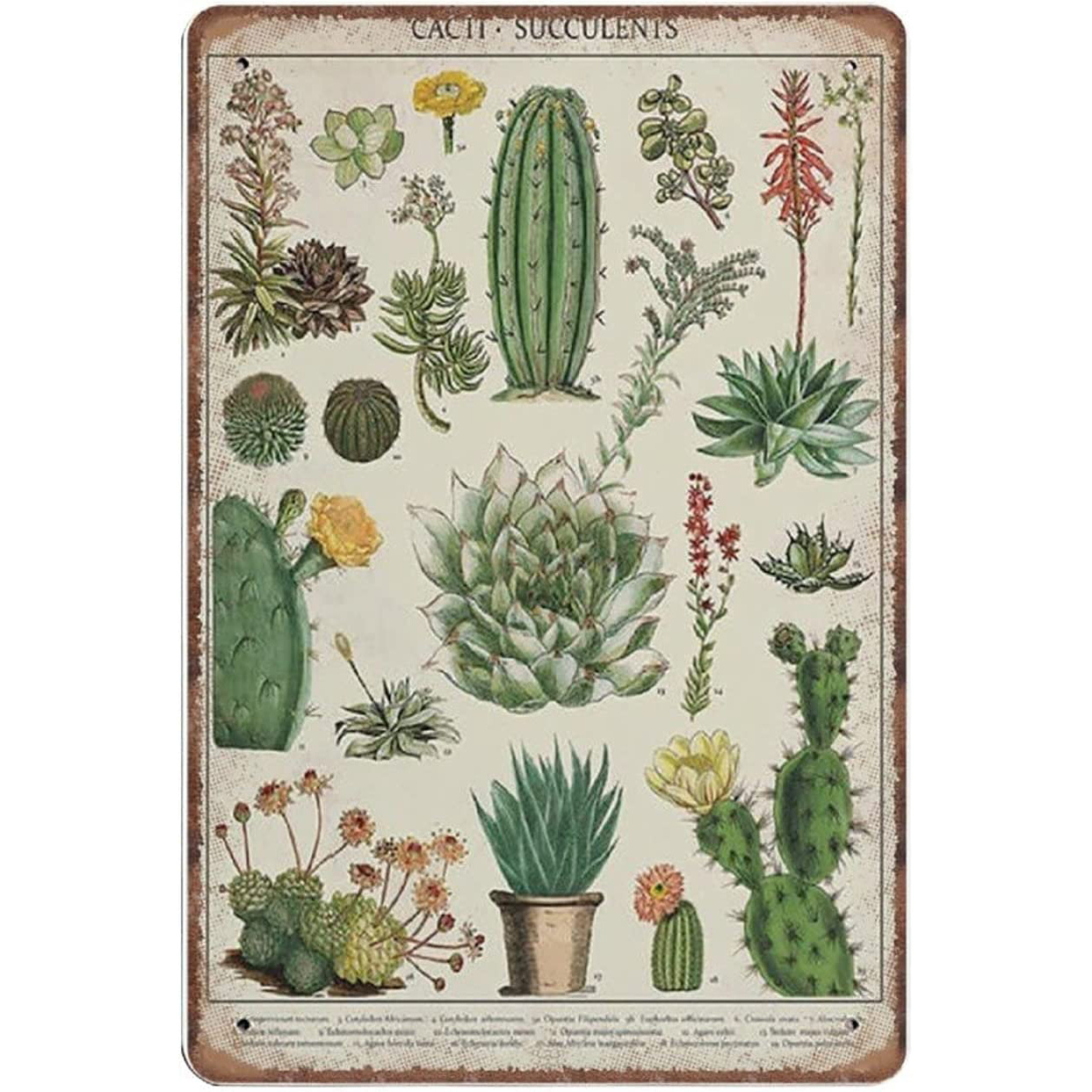 WADORN Cartello In Metallo Retrò Con Cactus, 30x20 Cm, Scritta 'Sì, Ho Davvero Bisogno Di Tutte Queste Piante', Decorazione Da Parete