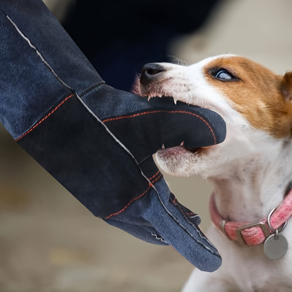 Spazzola per animali domestici con vapore Oboase per Albania