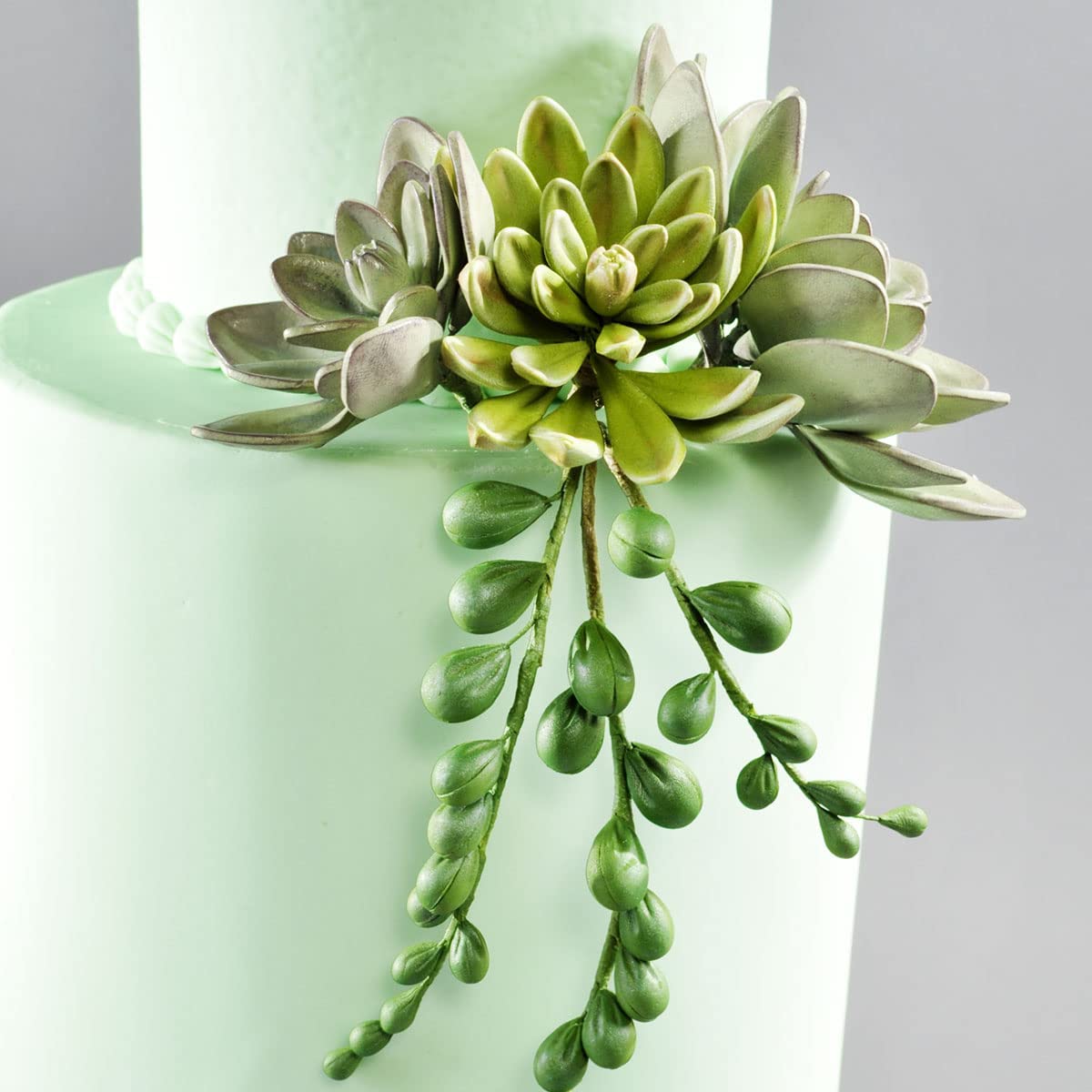 Tumbler Toppers / Succulent Topper / Plant Topper / Ice Topper