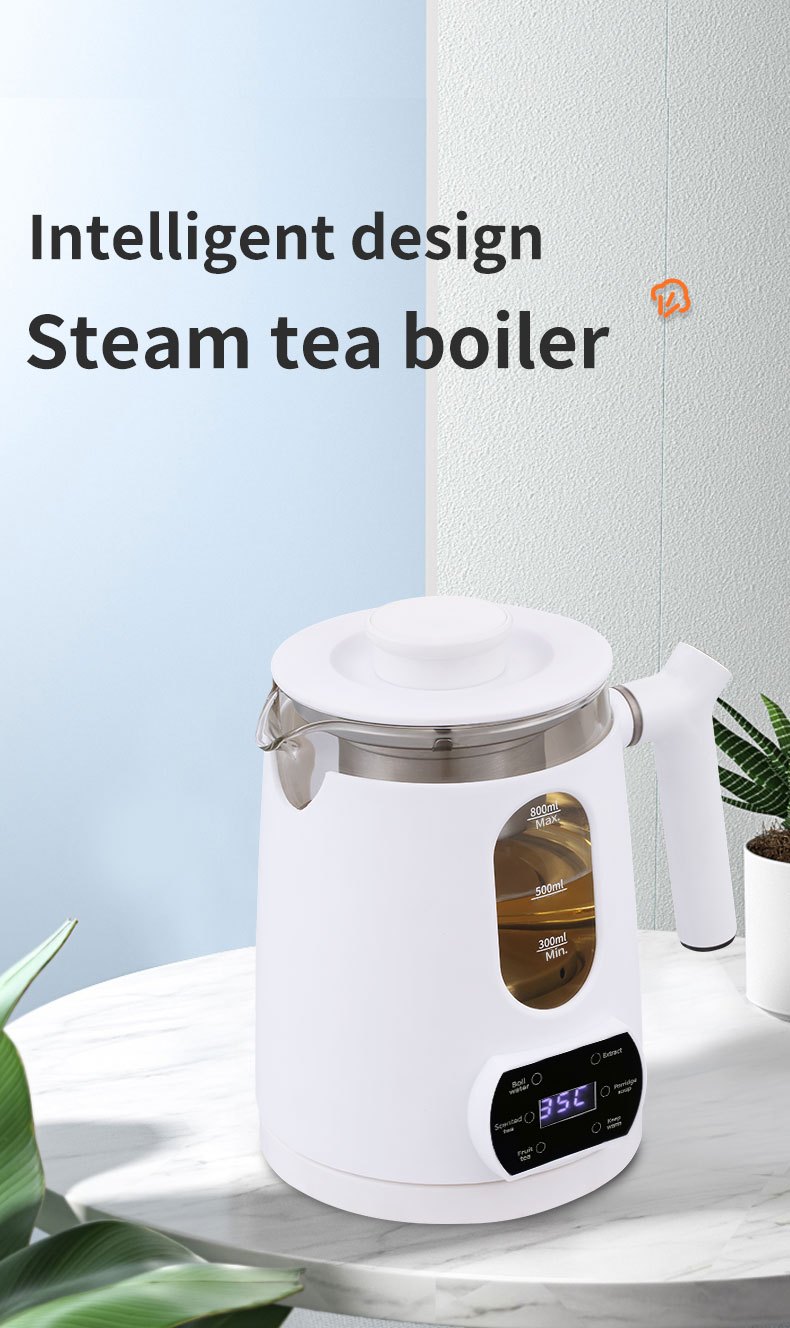 Portable Health Pot Steam Tea Maker: Multifunctional Kettle For Home &  Office With Transparent High Borosilicate Glass Window Scale - Temu